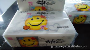 淮安洁雅乐纸制品